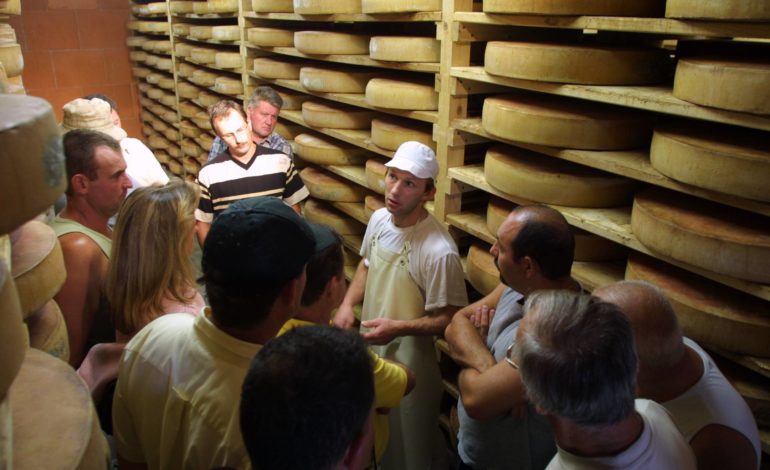 Visite d'une fromagerie