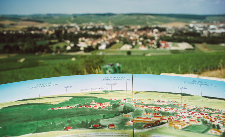 Panorama des vignobles de Chablis