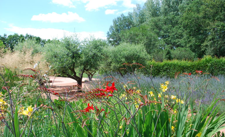 Jardin Colette