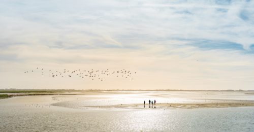 Baie de Somme