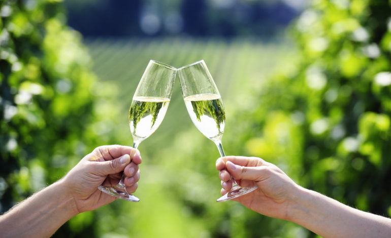 Toasting with two glasses of Champagne in the vineyard