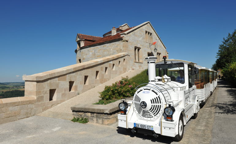 CHAMPAGNE_52_LANGRES_Petit-train_PHL_7539