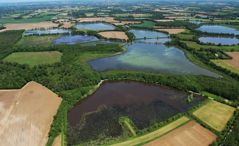 Etangs-de-la-Dombes - Ain