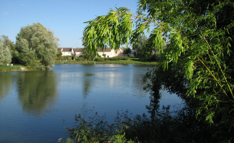 Les étangs de la Garenne à l'Isle Adam