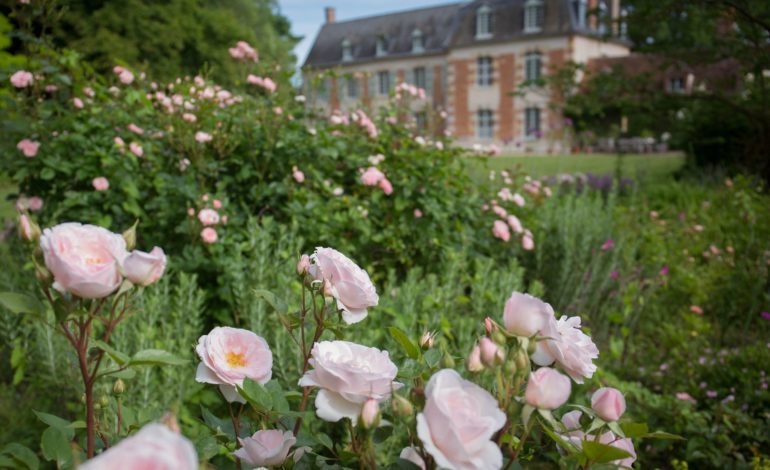 Jardins du Manoir de la Javelière