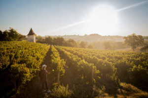 Le vignoble de Gaillac en 2 CV