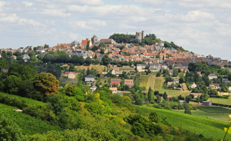 SANCERRE-AD2T-PATRICE-REGNIER-0015