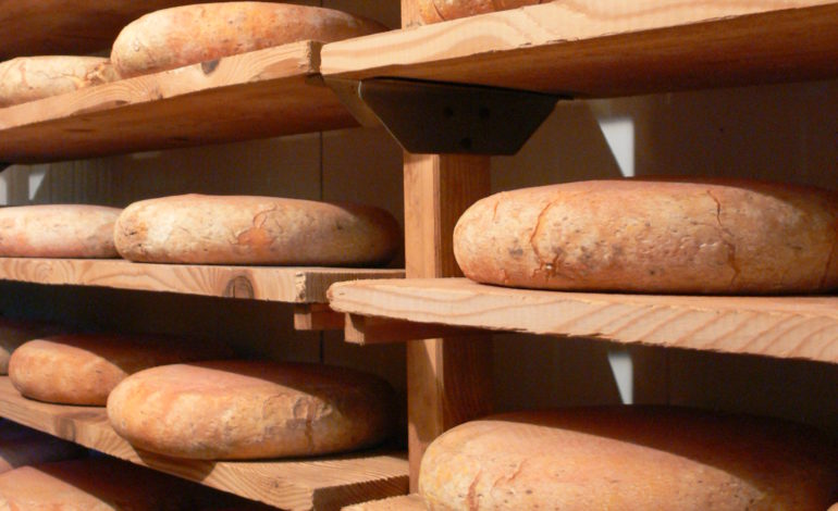 Tomme des Pyrénées Ariégeoises