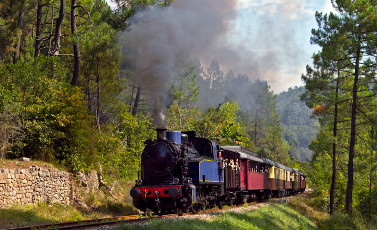 Train à vapeur des Cévennes - Anduze_9