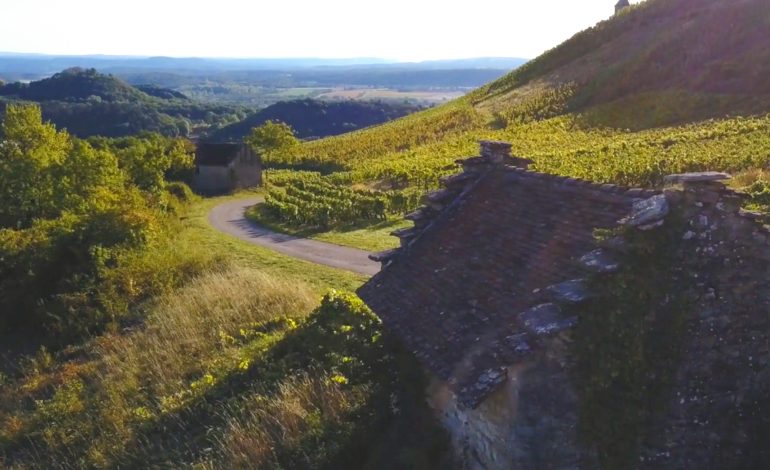 Vignes_du_Cerdon--Bokeh_Production_-Aintourisme-2480