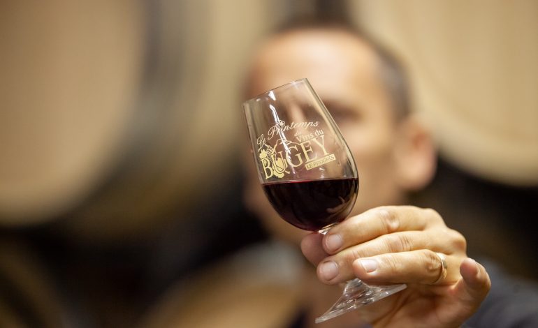 Vin_du_Bugey--Frederique_Scali_-OTBugeySud-2455