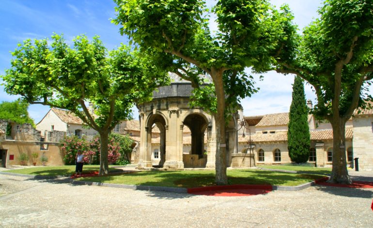 VLA-Chartreuse-Cloître St Jean-3782