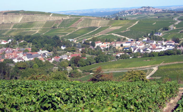 Vue de Sancerre et des vignobles