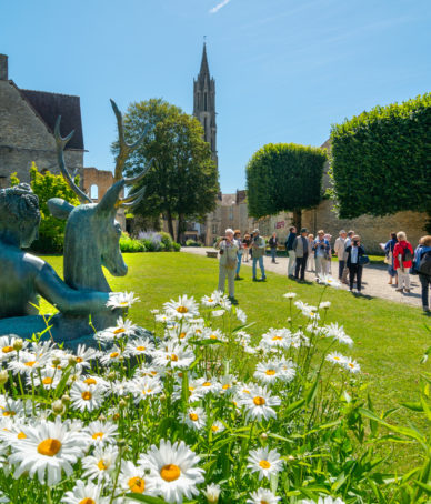 Visite guidée de Senlis