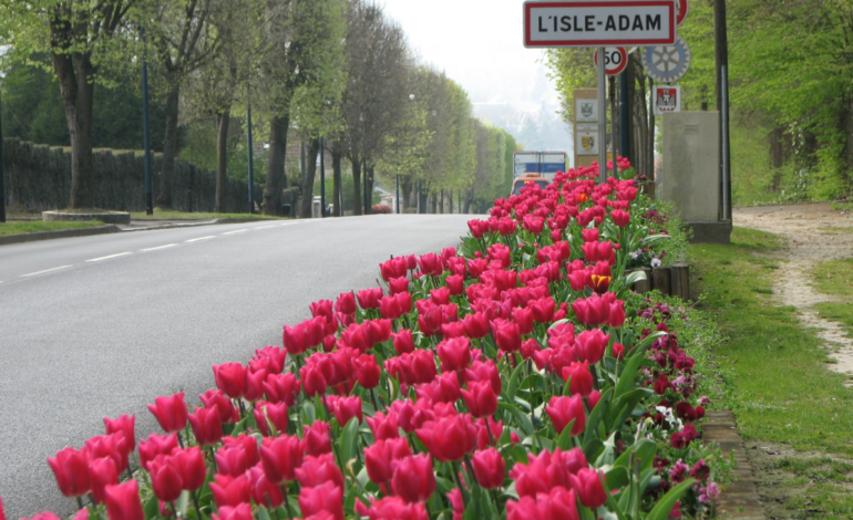 L'Isle Adam ville parc au bord de l'eau2 (c) DR