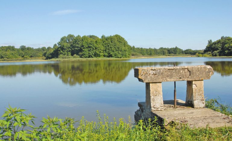 Etang-de-la-Dombes