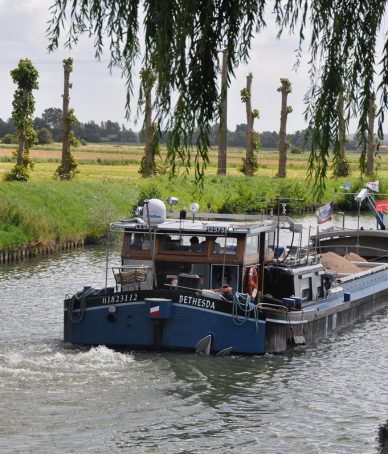 Au pays de la chicorée