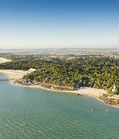 Le célebre Bois de la Chaise à Noirmoutier