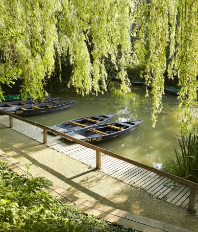 Le Marais poitevin et la Venise Verte
