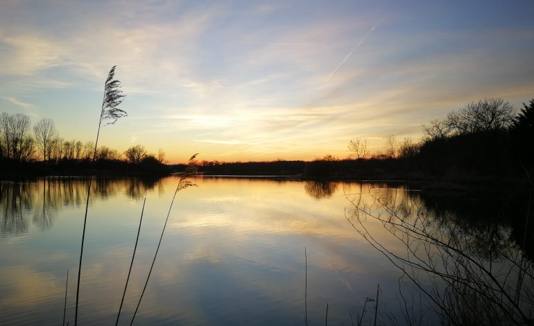 Coucher_de_soleil_aux_etangs_de_la_Dombes--Michael_Zeilfelder_-Dombes_Tourisme-3190