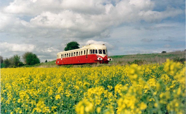 Vallée Colza CFVE