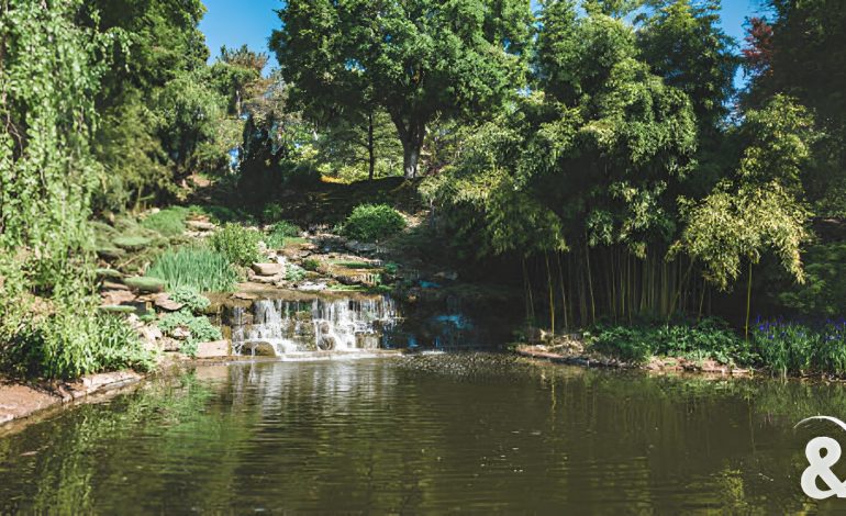 Parc Floral d'Apremont-sur-Allier