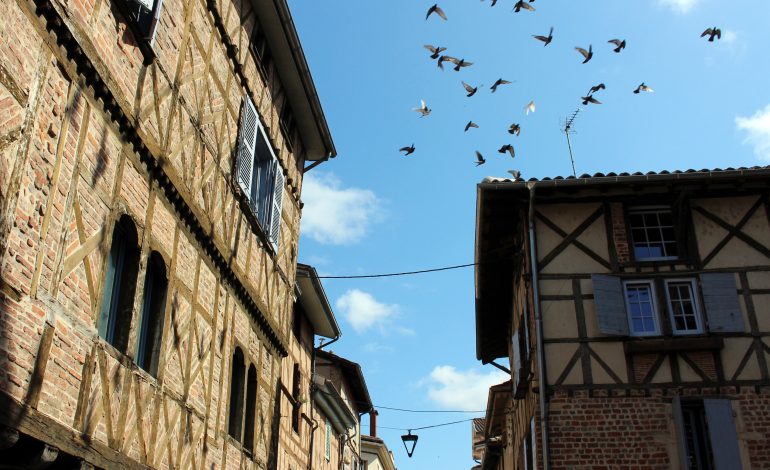 Ville_de_Chatillon--Isabelle_Lallemand_-Dombes_Tourisme-3937