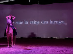 Spectacle équestre