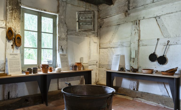 Ferme_de_la_Foret--Fanny_Neviere_-Aintourisme-4383