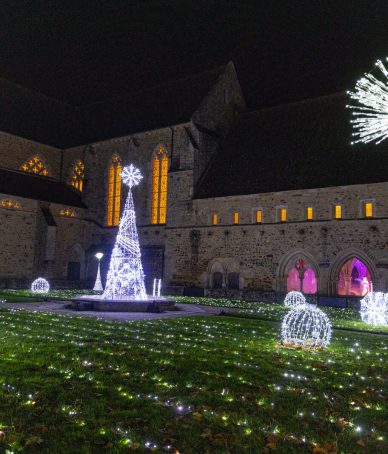 Voyage sonore et lumineux - Abbaye Royale de l'Épau