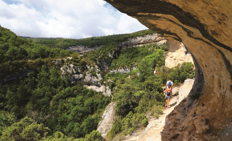 rando-gorges-de-la-Nesque-Alain-Hocquel-8011
