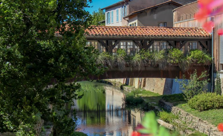 Pont_de_Chatillon-sur-Chalaronne--Sandrine_Ferrier_-Dombes_Tourisme-6087
